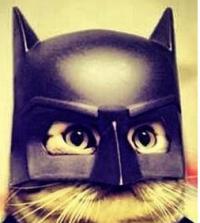 photo-23037.jpg?_r=1400258399