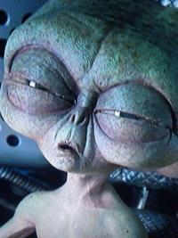 photo-39106.jpg?_r=1468280991