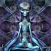 DMT